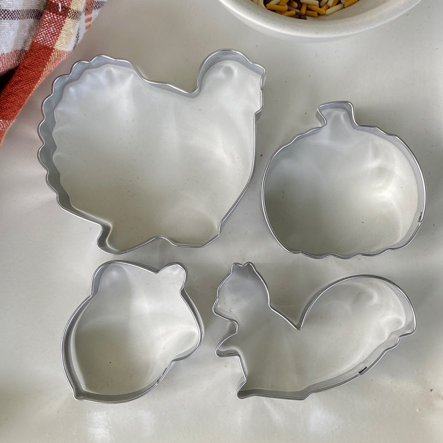Squirrel, Turkey, Acorn & Squirrel Fall/Thanksgiving Cookie Cutter Stainless Steel