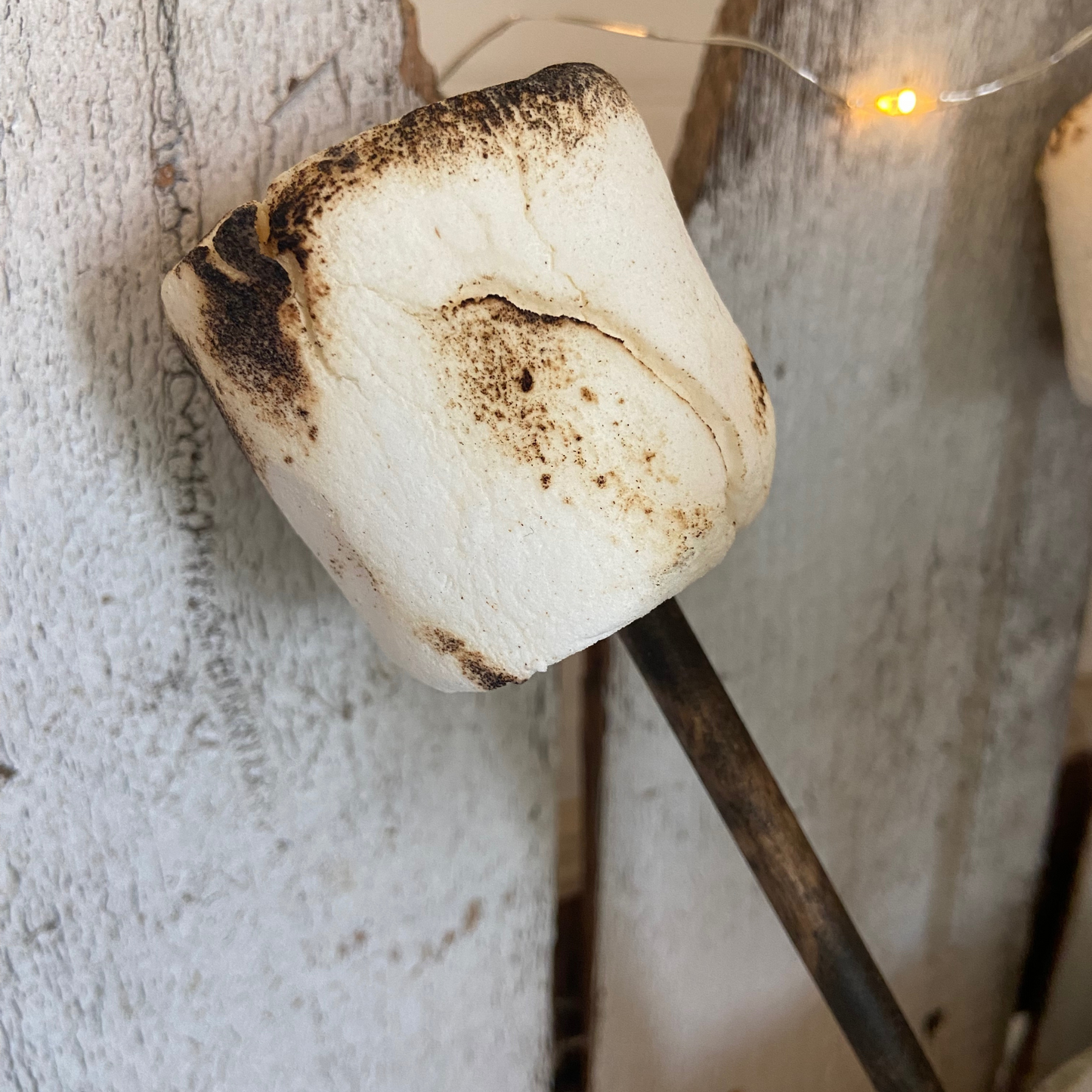 Toasted Marshmallows on Stick for Summer, Camping, Farmhouse Decor