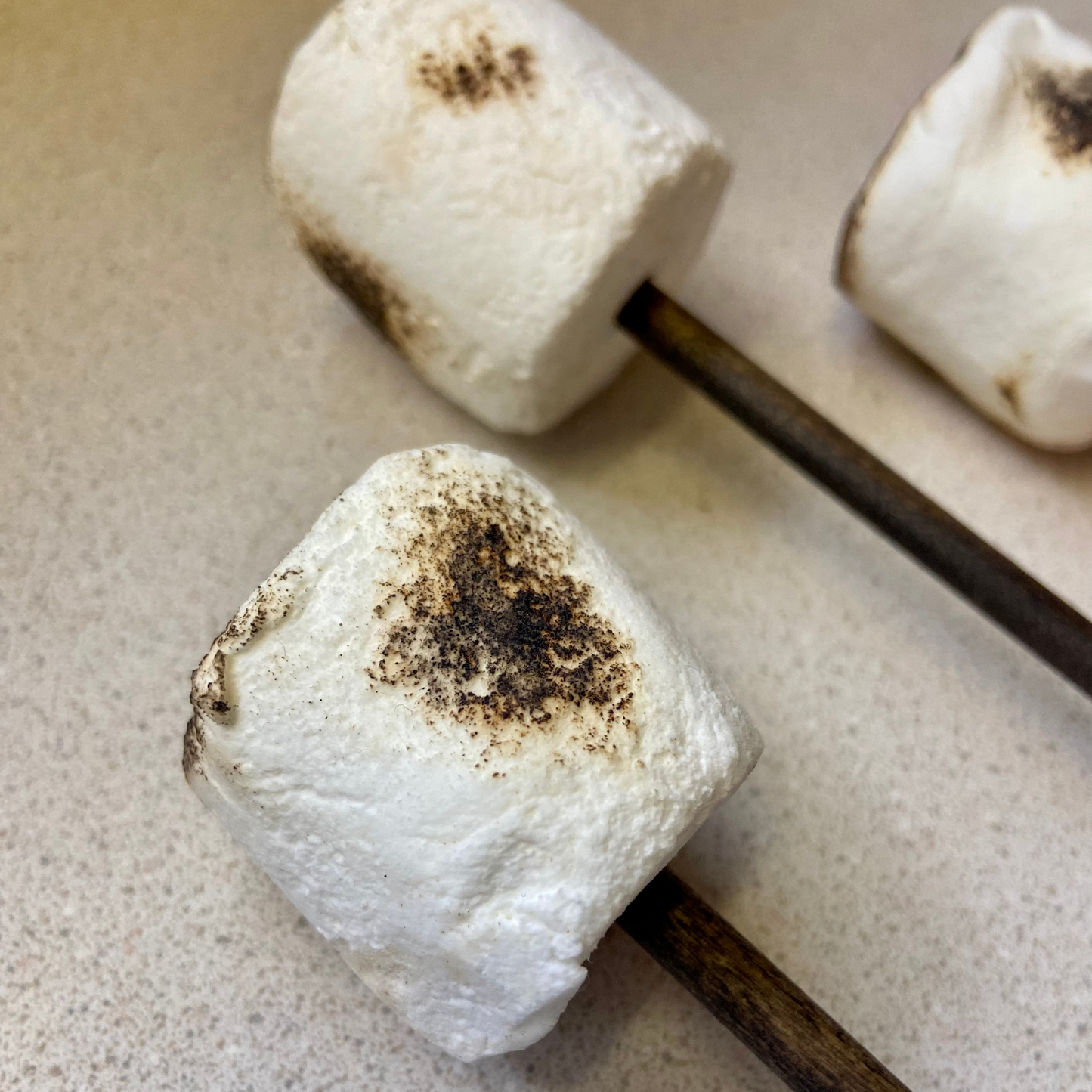 Toasted Marshmallows on Stick for Summer, Camping, Farmhouse Decor