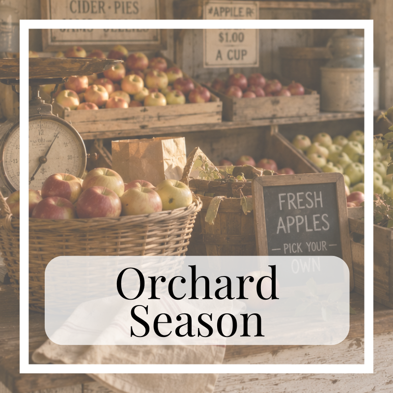 Orchard Season