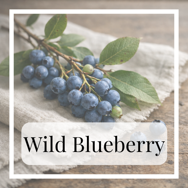 Wild Blueberries