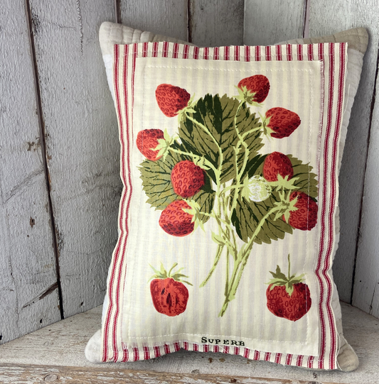 Vintage Strawberry Seed Packet Pillow –“Superb”– Handmade Farmhouse