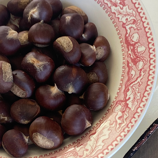 Dried Chestnuts for bowl filler add a Natural Touch-30 ct. Eco-Friendly Christmas Decor: