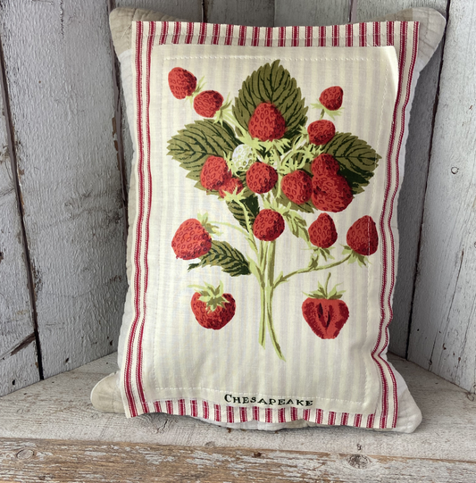 Vintage Strawberry Seed Packet Pillow – “Chesapeake”– Handmade Farmhouse