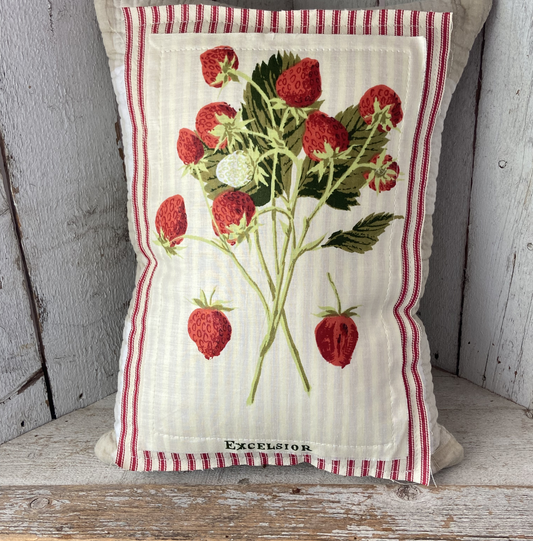 Vintage Strawberry Seed Packet Pillow – “Excelsior” – Handmade Farmhouse