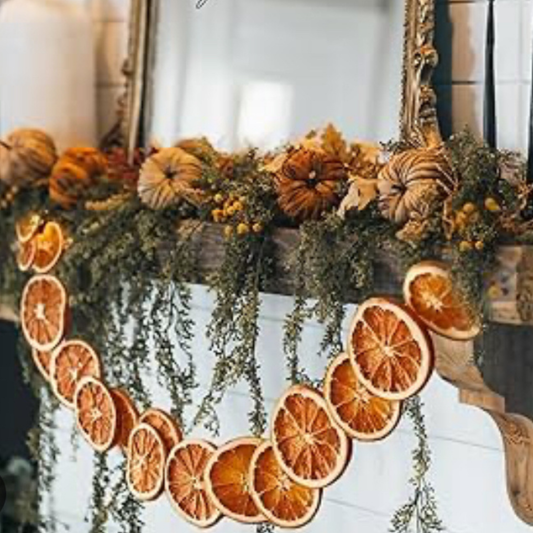 Double Strand Dried Orange Garland