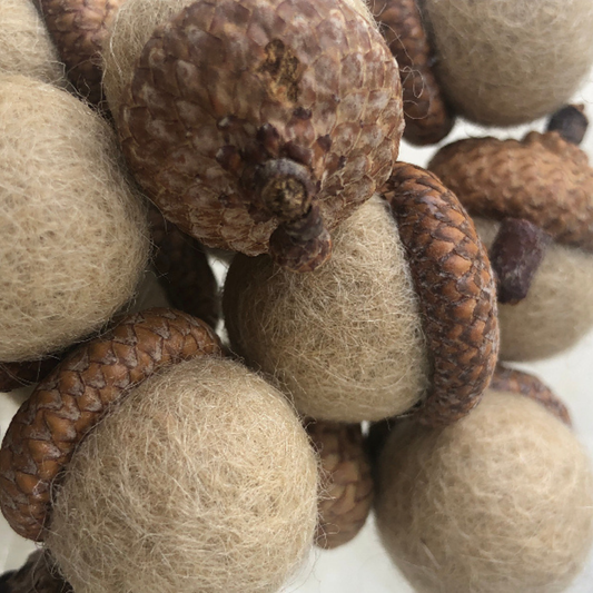 Felted Wool Acorns in Tan-20mm with Red Oak Caps 15 ct