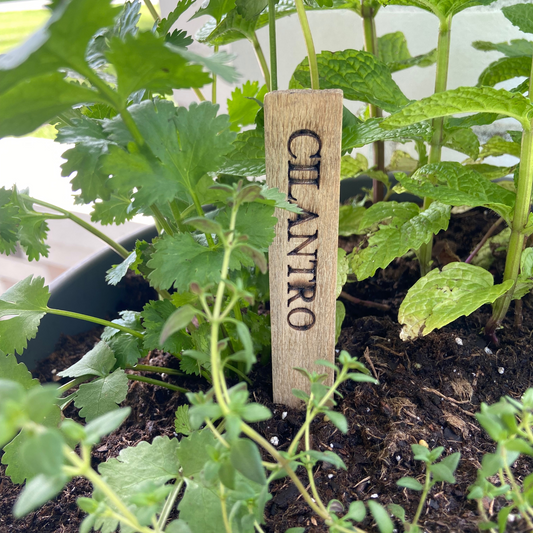 Garden Herb & Vegetable Markers/Stakes-from aged cheese boxes
