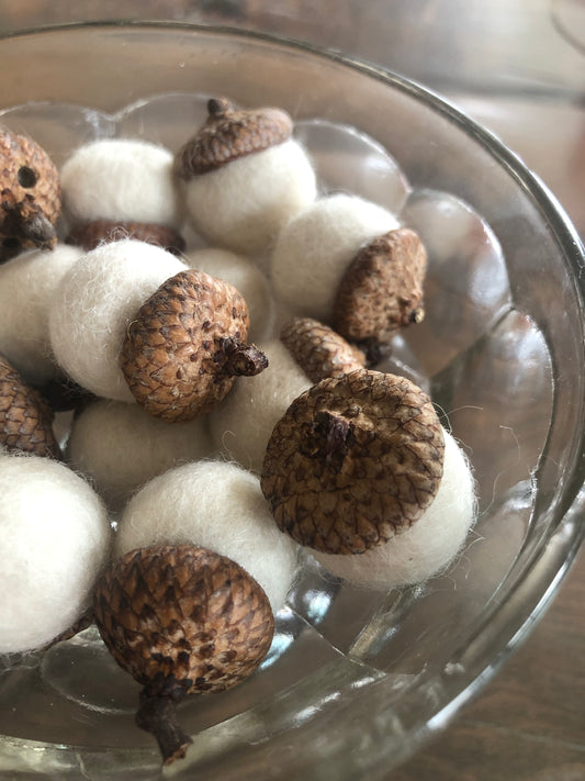 Felted Wool Acorns in Ivory-20mm with Red Oak Caps 15 ct